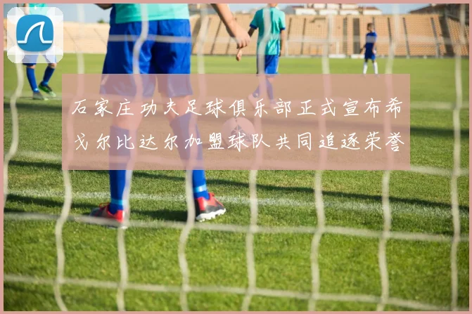 石家庄功夫足球俱乐部正式宣布希戈尔比达尔加盟球队共同追逐荣誉